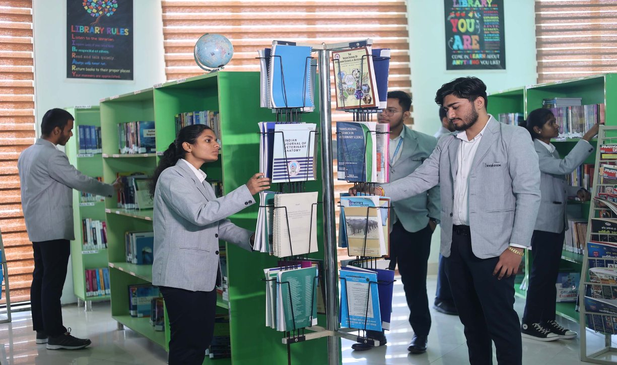 Best vldd college in Jhajjar